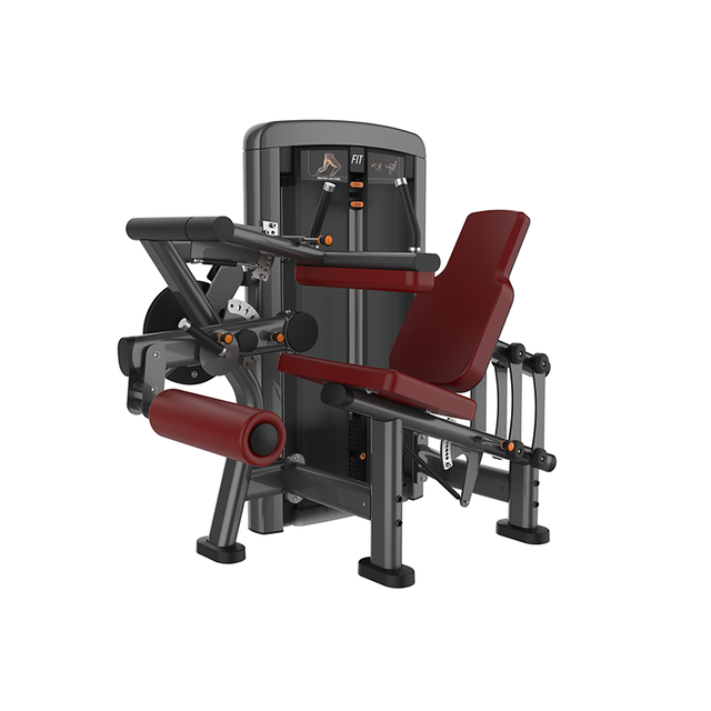 SYT-L1081 Leg Curl