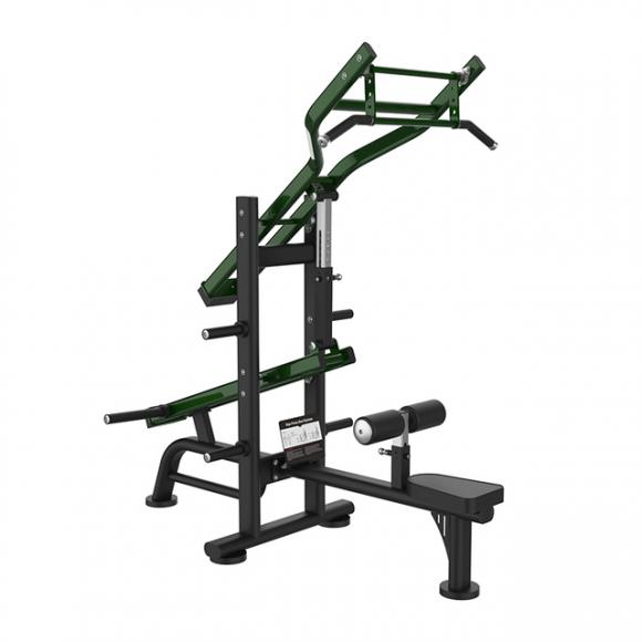A709 Lat Pulldown&Triceps Dip