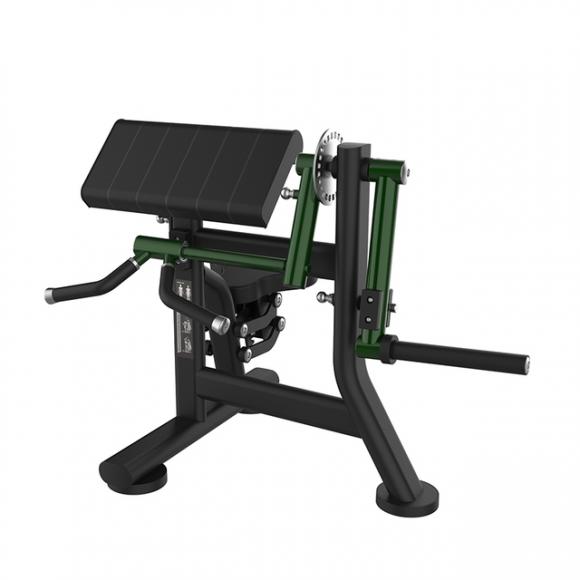 A755 Biceps & Triceps Extension