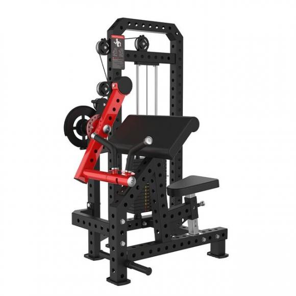 SYT-K115 Biceps & Triceps Extension