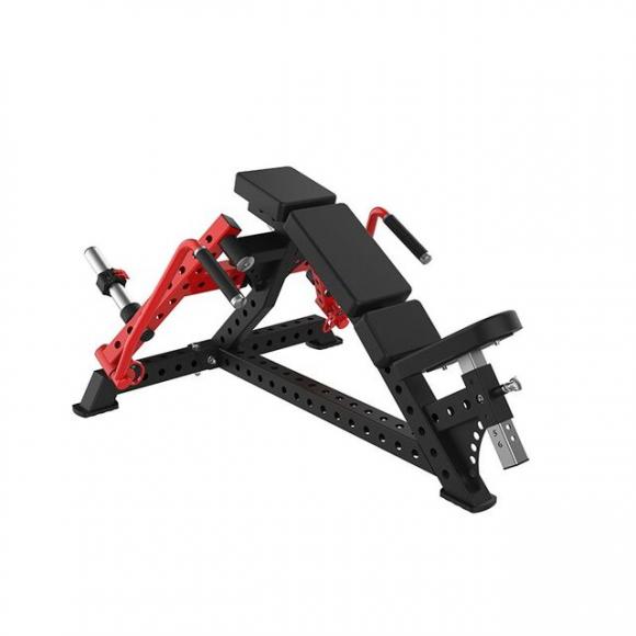 SYT-K164 Upslope Bird