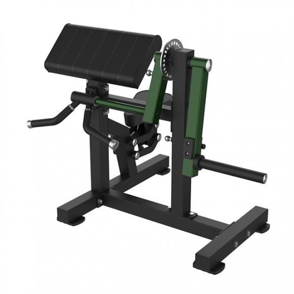 A982 Biceps & Triceps Extension