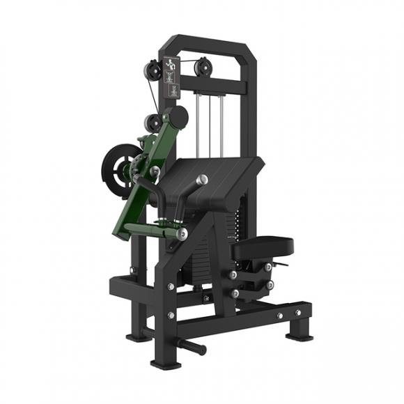 A915 Biceps & Triceps Extension