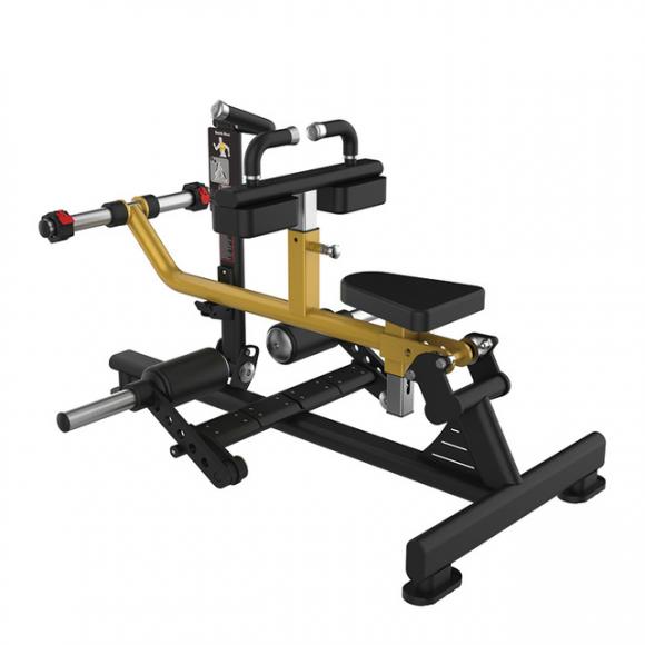 SYT-K562 Calf Raise