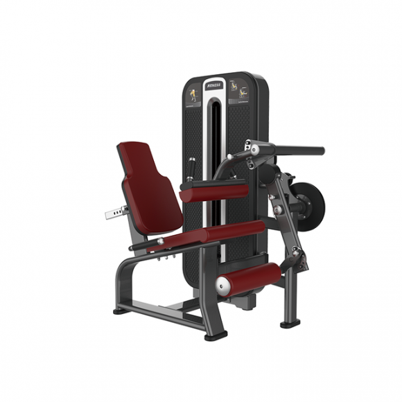 SYT-K684C Leg Curl & Extension