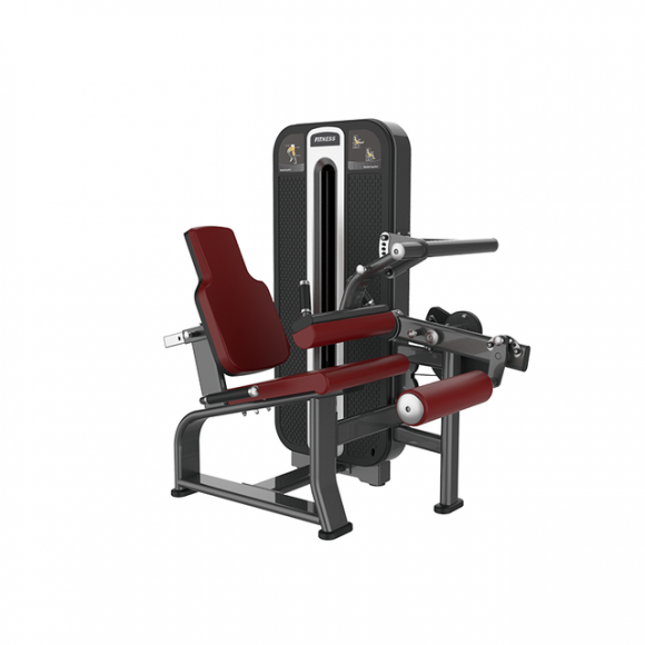 SYT-K623 Leg Curl