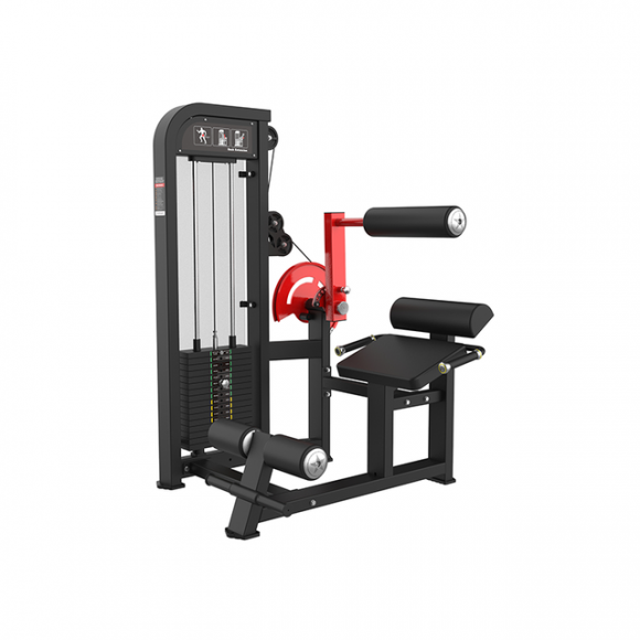 SYT-HM31 Back Muscle Exercise