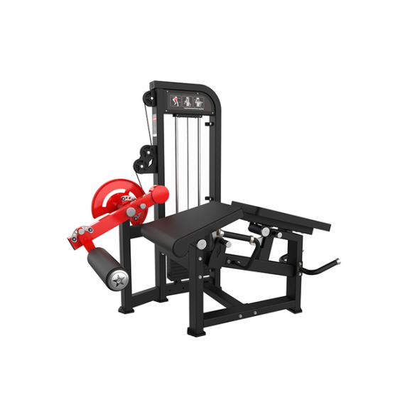 SYT-HM84A Leg Curl & Extension