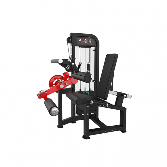 SYT-HM84C Leg Curl & Extension