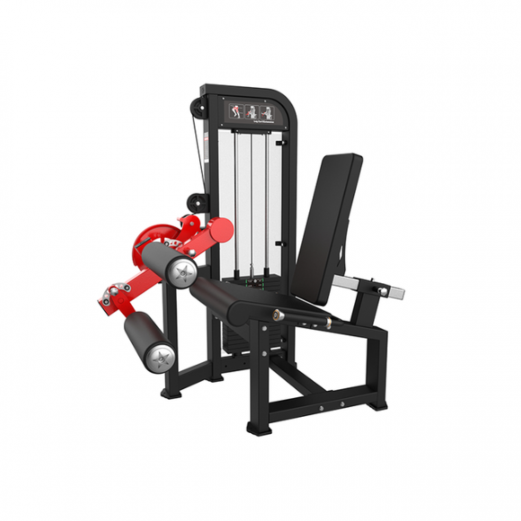 SYT-HM84B Leg Curl & Extension