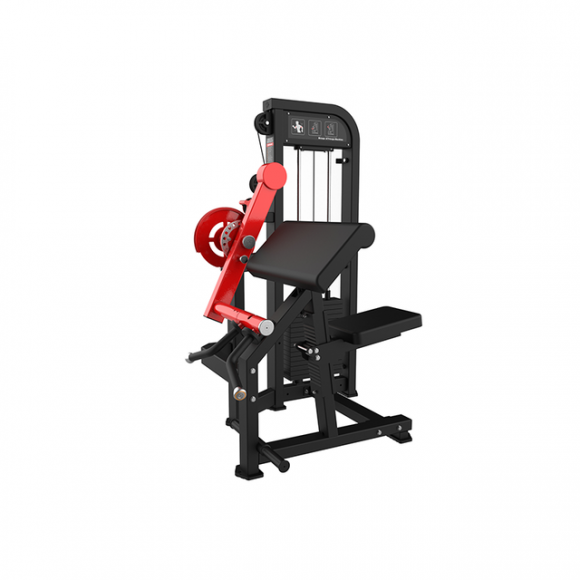 SYT-HM85 Biceps & Triceps Extension