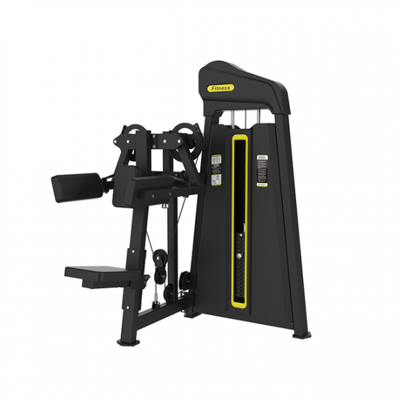 SYT-P805 Lateral Raise