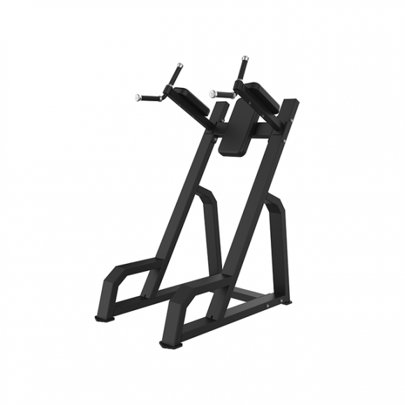 SYT-P847 Vertical Knee Up or Dip