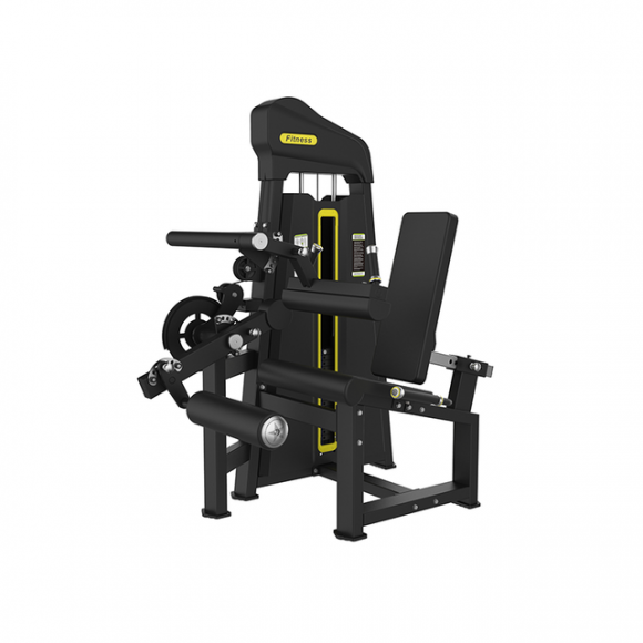 SYT-P884C Leg Curl & Extension
