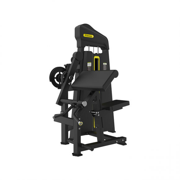 SYT-P885 Biceps & Triceps Extension