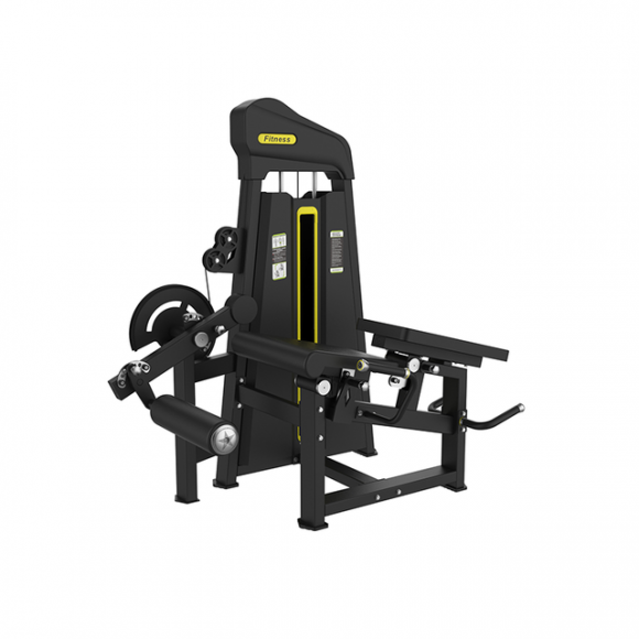SYT-P884A Leg Curl & Extension