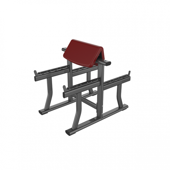 SYT-L1044 Bicep Bench