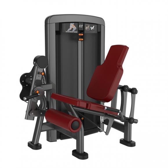 SYT-L1002 Leg Extension