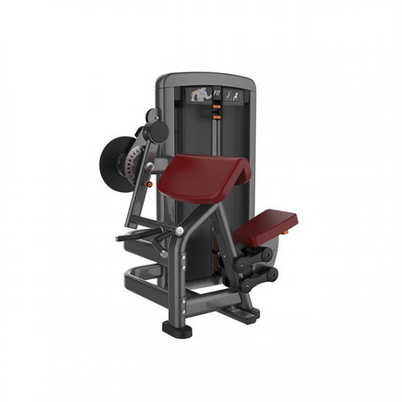 SYT-L1083 Biceps & Triceps Exercises